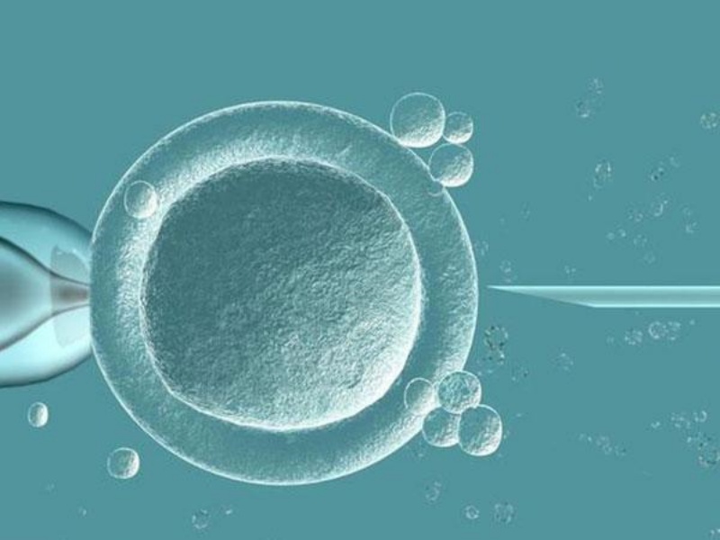 59岁高龄产子刷屏，辅助生殖的“截止日期”究竟在哪里？